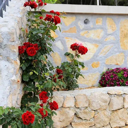 Seaside Family Friendly House With A Swimming Pool - Trogir - 8661 Prázdninový dům Poljica (Trogir)